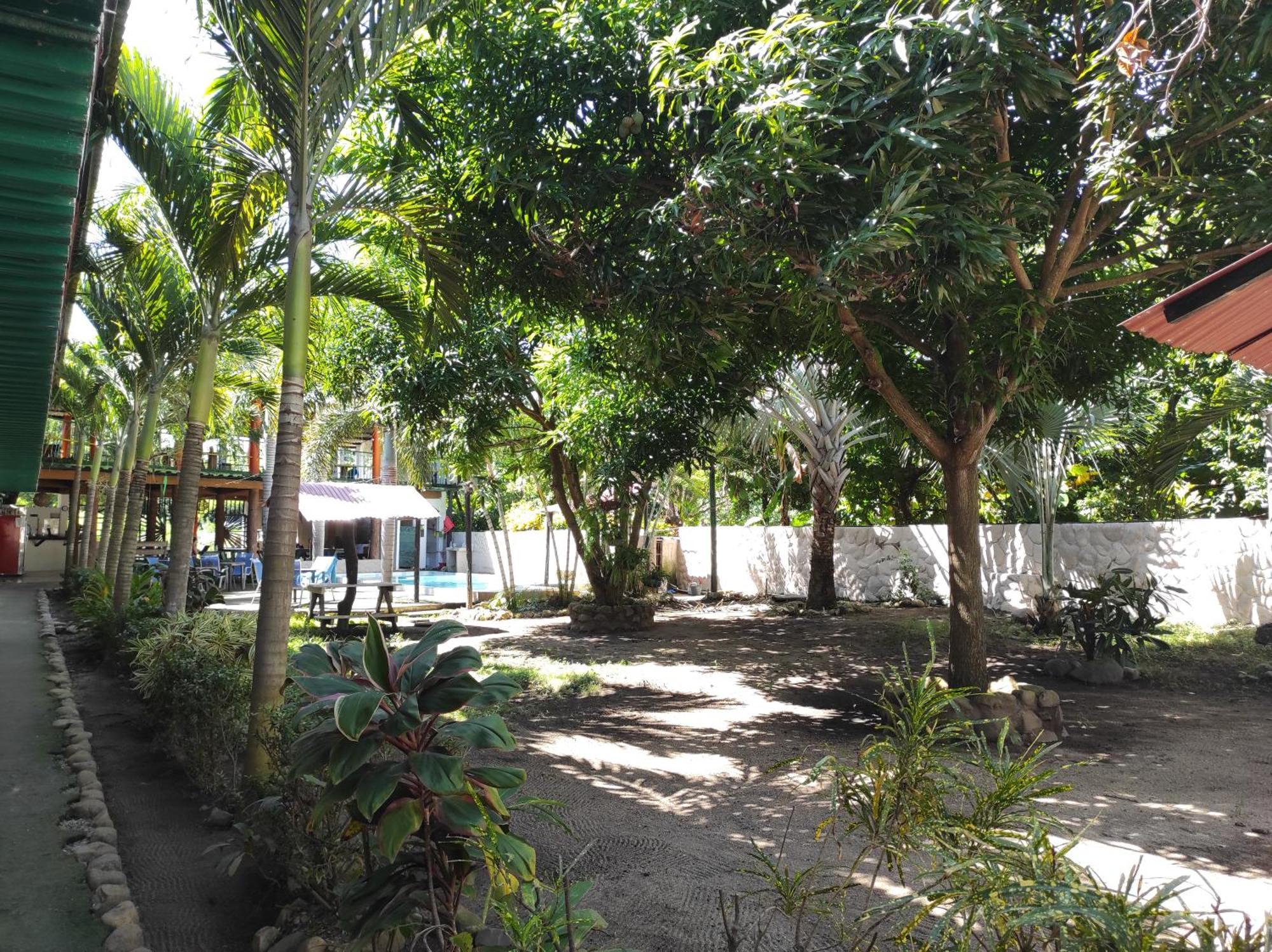 פאלומינו Hostal Luz De Luna מראה חיצוני תמונה