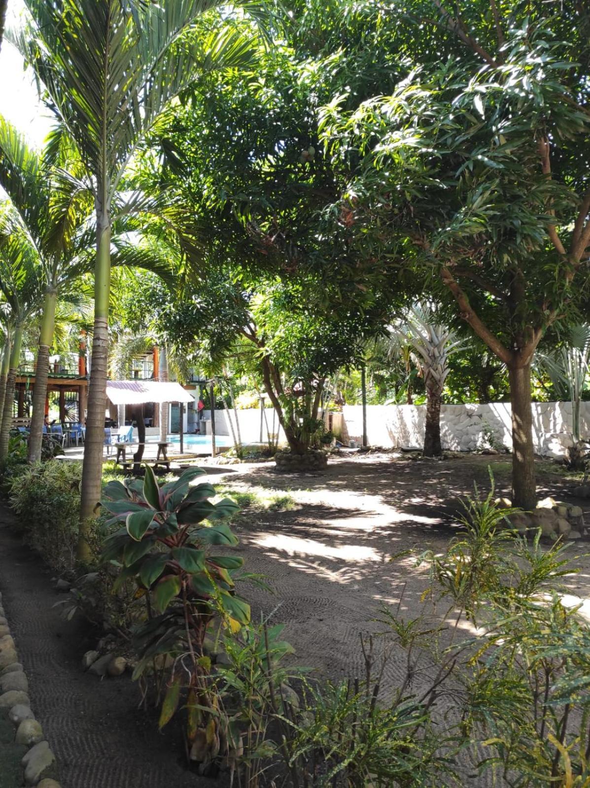 פאלומינו Hostal Luz De Luna מראה חיצוני תמונה