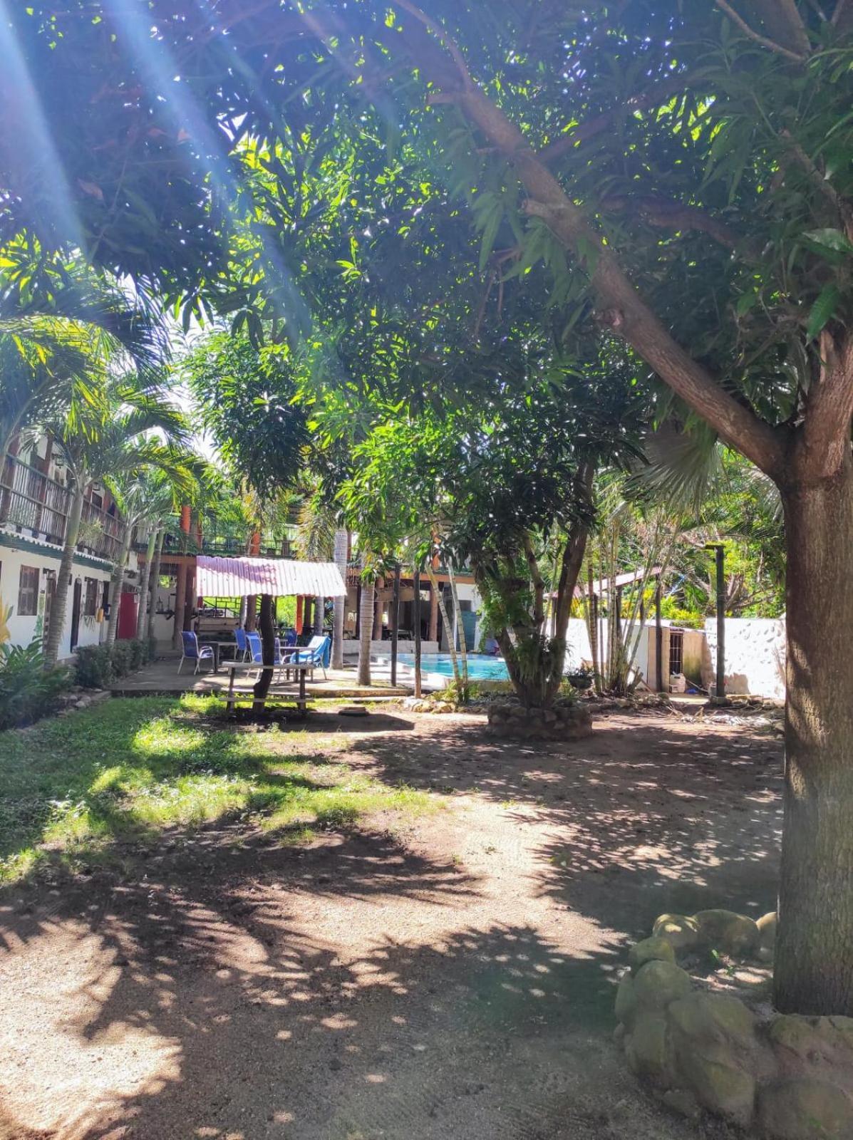 פאלומינו Hostal Luz De Luna מראה חיצוני תמונה
