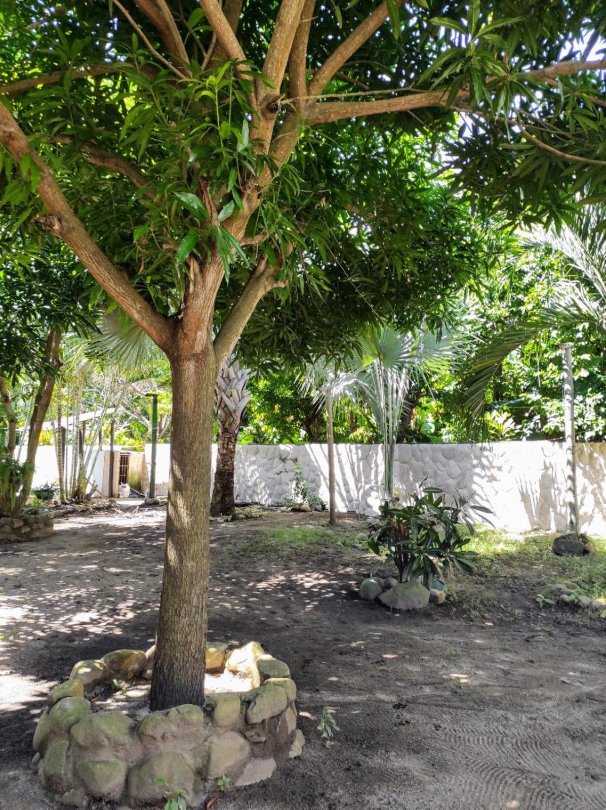 פאלומינו Hostal Luz De Luna מראה חיצוני תמונה